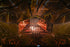Large-scale stage show with LED pixel lighting at the Joy Awards 2025